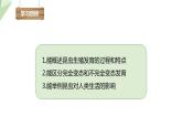 2.1 昆虫的生殖和发育 课件 2023-2024学年初中生物济南版八年级上册