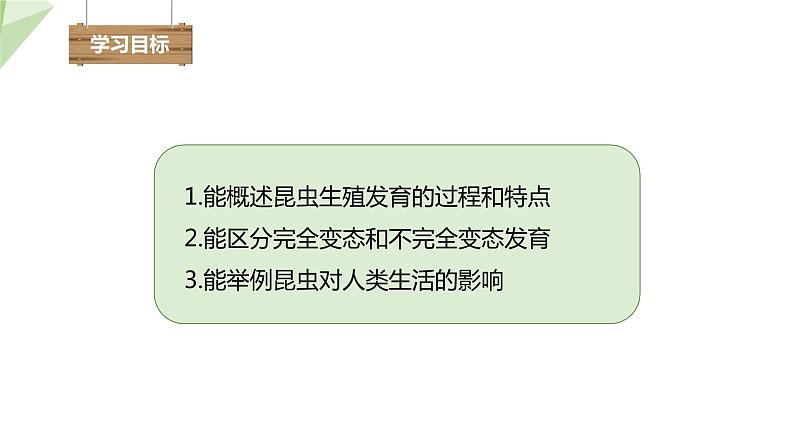 2.1 昆虫的生殖和发育 课件 2023-2024学年初中生物济南版八年级上册02