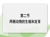 2.2 两栖动物的生殖和发育 课件 2023-2024学年初中生物济南版八年级上册