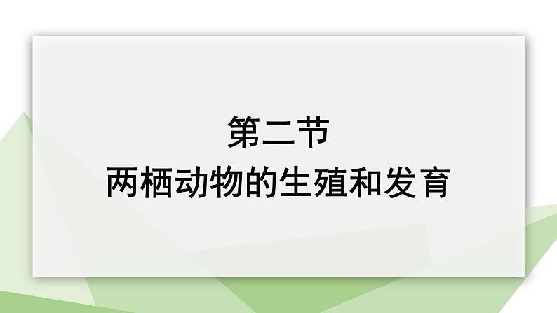 2.2 两栖动物的生殖和发育 课件 2023-2024学年初中生物济南版八年级上册01