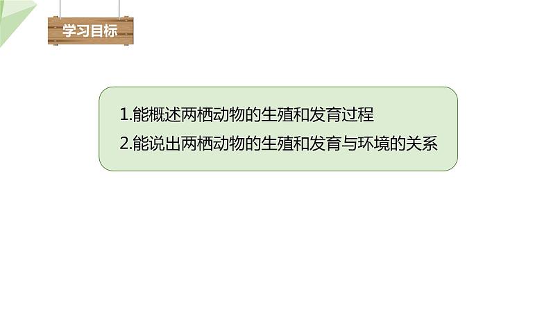 2.2 两栖动物的生殖和发育 课件 2023-2024学年初中生物济南版八年级上册02