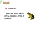 2.2 两栖动物的生殖和发育 课件 2023-2024学年初中生物济南版八年级上册