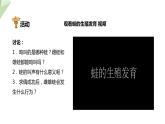 2.2 两栖动物的生殖和发育 课件 2023-2024学年初中生物济南版八年级上册