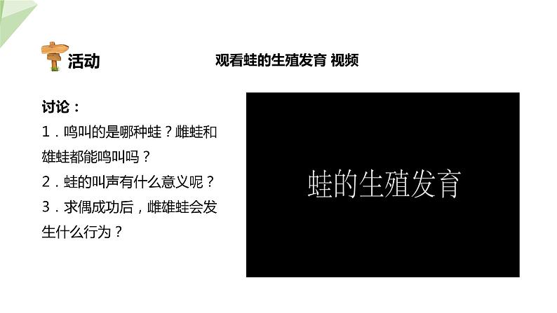 2.2 两栖动物的生殖和发育 课件 2023-2024学年初中生物济南版八年级上册05