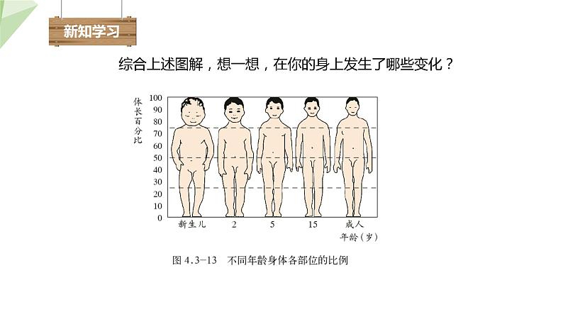 3.2青春期发育 课件 2023-2024学年初中生物济南版八年级上册第6页