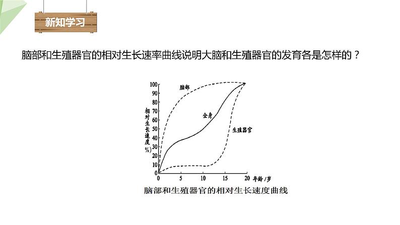 3.2青春期发育 课件 2023-2024学年初中生物济南版八年级上册第8页