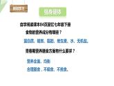 3.3走向成熟 课件 2023-2024学年初中生物济南版八年级上册
