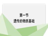 4.1遗传的物质基础 课件 2023-2024学年初中生物济南版八年级上册