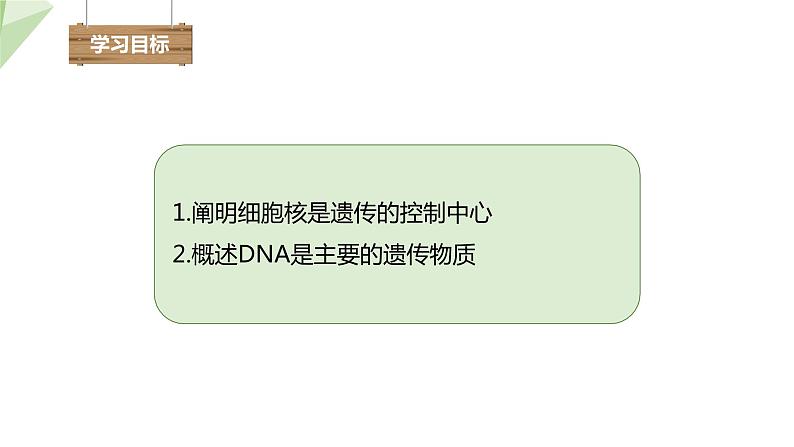 4.1遗传的物质基础 课件 2023-2024学年初中生物济南版八年级上册02