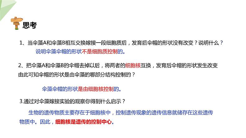 4.1遗传的物质基础 课件 2023-2024学年初中生物济南版八年级上册07