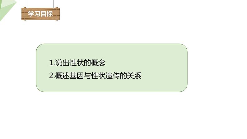 4.2性状的遗传 课件 2023-2024学年初中生物济南版八年级上册02