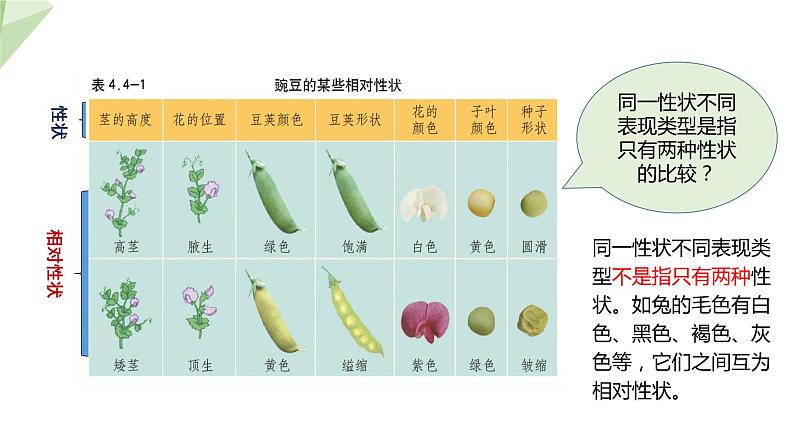 4.2性状的遗传 课件 2023-2024学年初中生物济南版八年级上册05