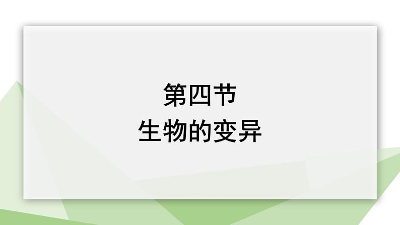 4.4生物的变异 课件 2023-2024学年初中生物济南版八年级上册01