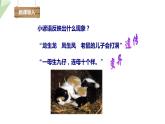 4.4生物的变异 课件 2023-2024学年初中生物济南版八年级上册