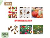 4.4生物的变异 课件 2023-2024学年初中生物济南版八年级上册