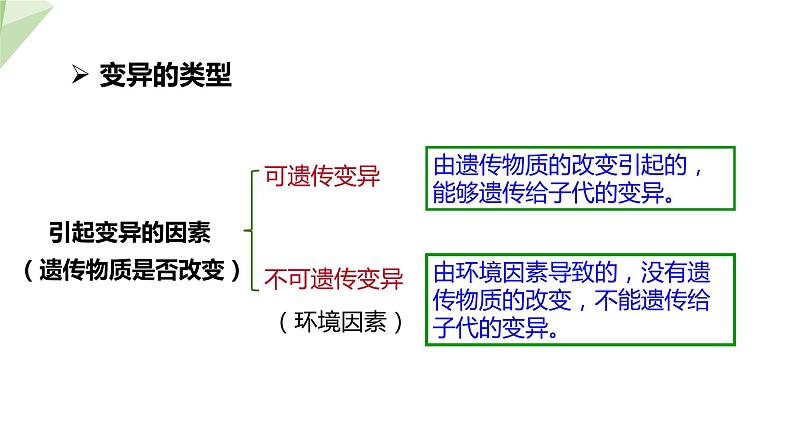 4.4生物的变异 课件 2023-2024学年初中生物济南版八年级上册07