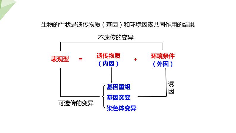 4.4生物的变异 课件 2023-2024学年初中生物济南版八年级上册08