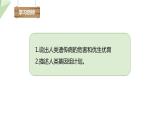 4.5人类优生与基因组计划 课件 2023-2024学年初中生物济南版八年级上册