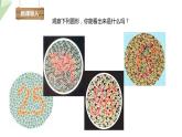 4.5人类优生与基因组计划 课件 2023-2024学年初中生物济南版八年级上册
