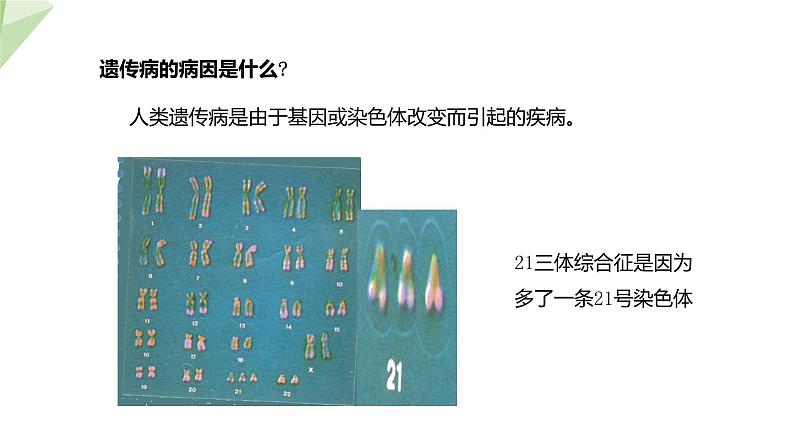 4.5人类优生与基因组计划 课件 2023-2024学年初中生物济南版八年级上册06