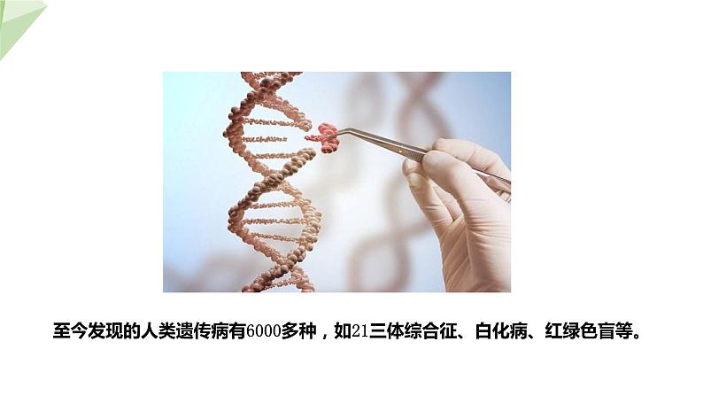 4.5人类优生与基因组计划 课件 2023-2024学年初中生物济南版八年级上册08