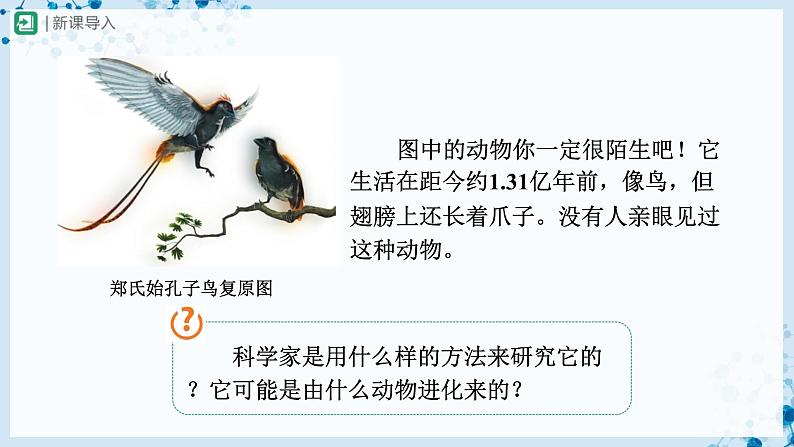 人教版八下生物  7.3.2 生物进化的历程 课件+教案+分层练习+导学案02