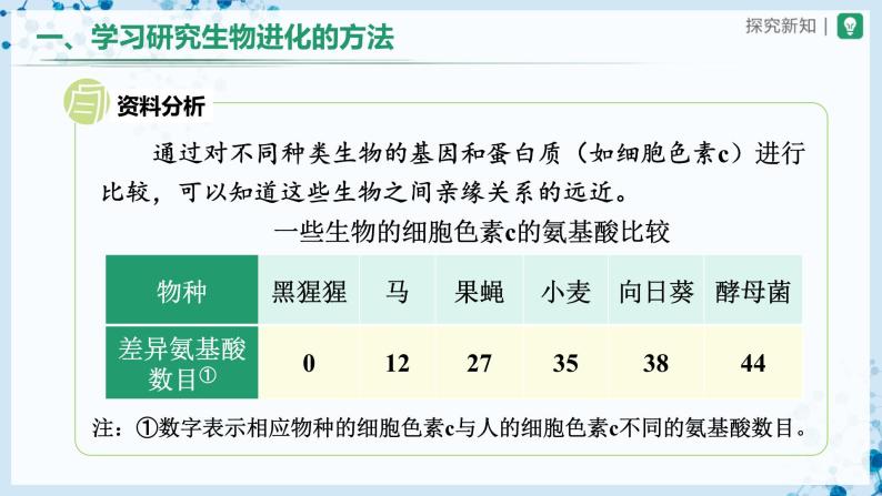 【人教版】八下生物  7.3.2 生物进化的历程（课件+教案+导学案+分层练习）06