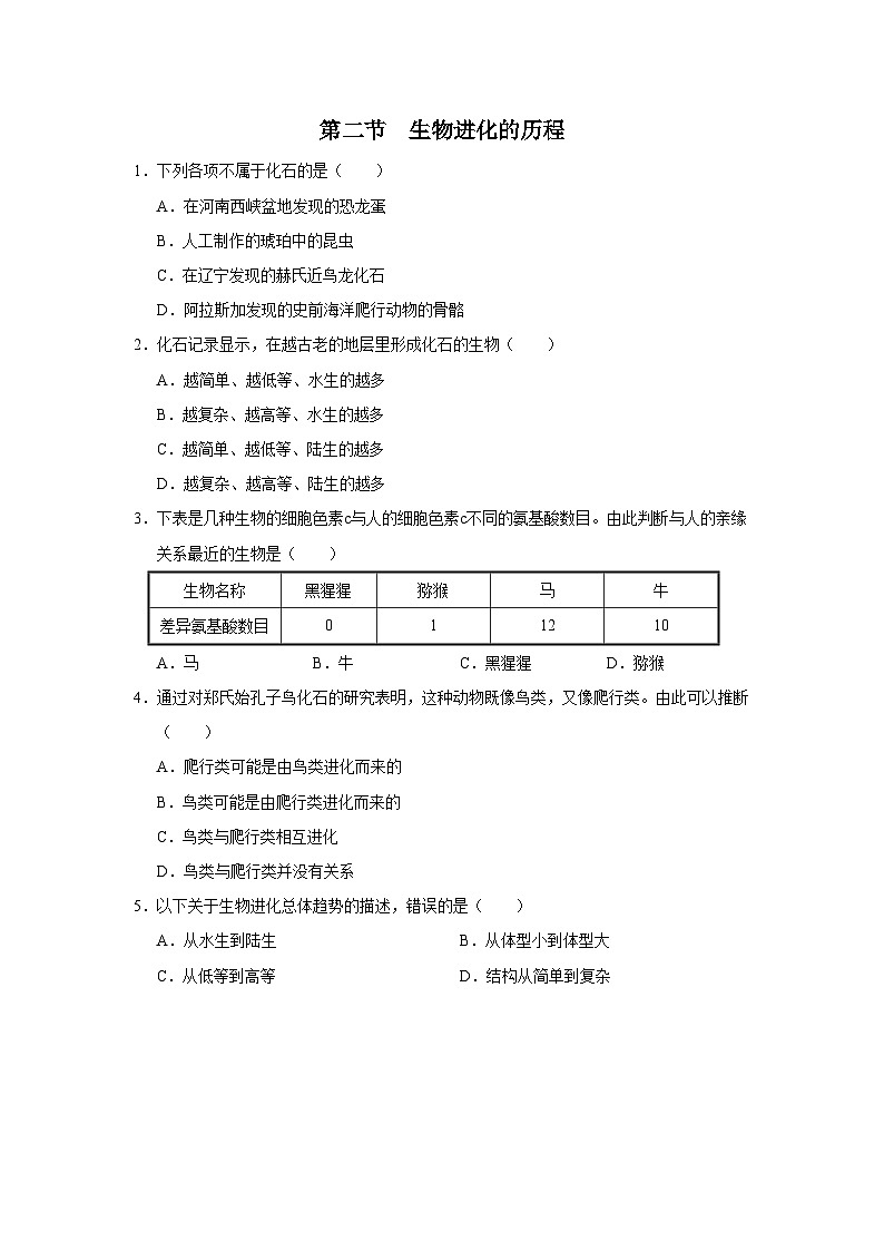 人教版八下生物  7.3.2 生物进化的历程 课件+教案+分层练习+导学案01