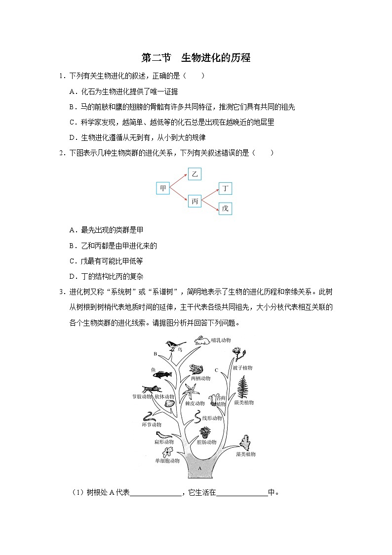人教版八下生物  7.3.2 生物进化的历程 课件+教案+分层练习+导学案01
