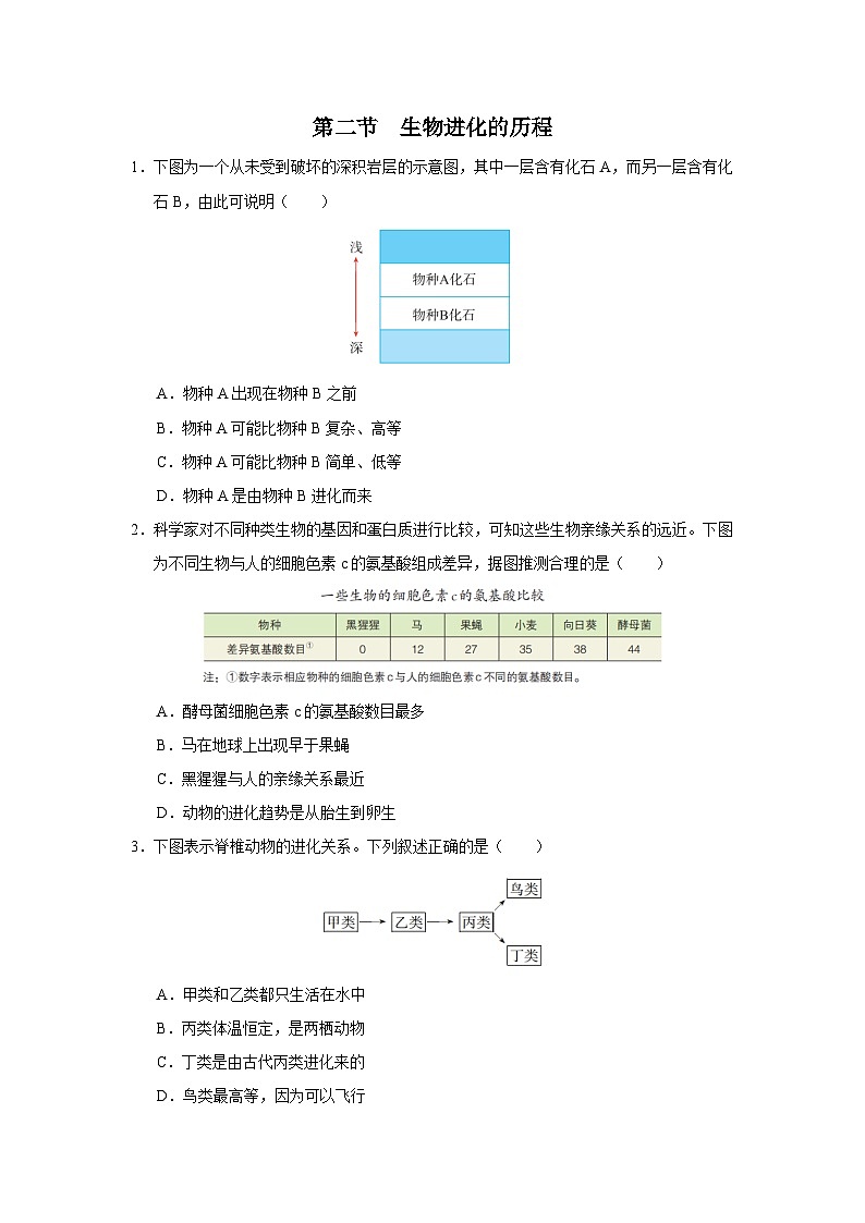 人教版八下生物  7.3.2 生物进化的历程 课件+教案+分层练习+导学案01