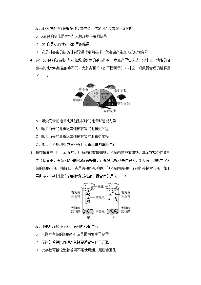 人教版八下生物  7.3.3 生物进化的原因 课件+教案+分层练习+导学案02