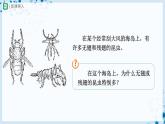 【人教版】八下生物  7.3.3 生物进化的原因（课件+教案+导学案+分层练习）