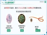人教版八下生物  8.1.1 传染病及其预防 课件+教案+分层练习+导学案