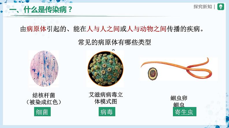 人教版八下生物  8.1.1 传染病及其预防 课件+教案+分层练习+导学案05