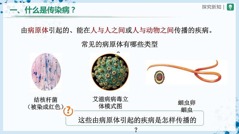人教版八下生物  8.1.1 传染病及其预防 课件+教案+分层练习+导学案06