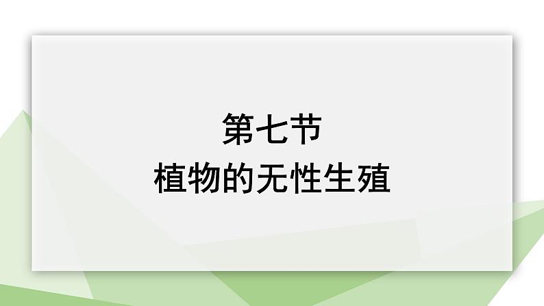 1.7 植物的无性生殖 课件 2023-2024学年初中生物济南版八年级上册01