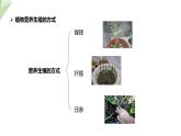 1.7 植物的无性生殖 课件 2023-2024学年初中生物济南版八年级上册