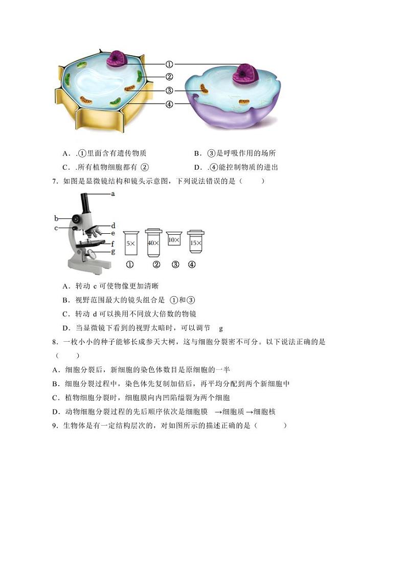 河南省郑州市2023-2024学年七年级上册期末生物试题（附答案）02