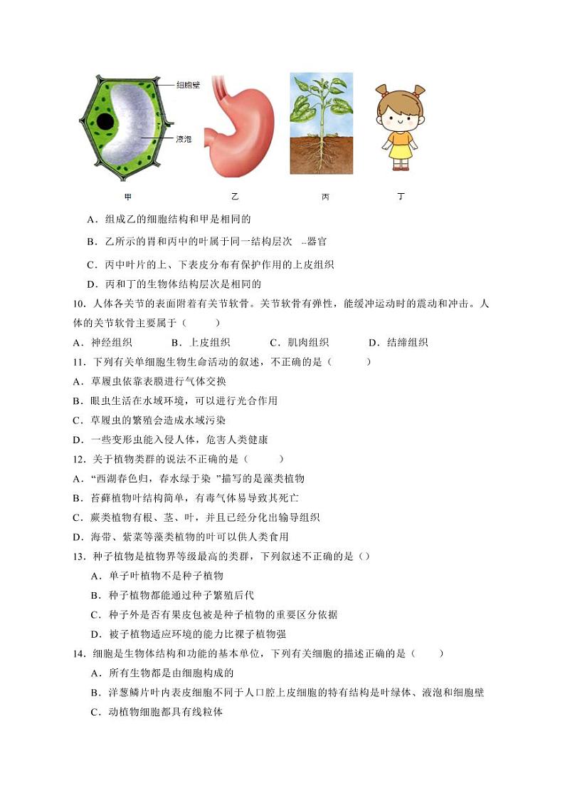 河南省郑州市2023-2024学年七年级上册期末生物试题（附答案）03