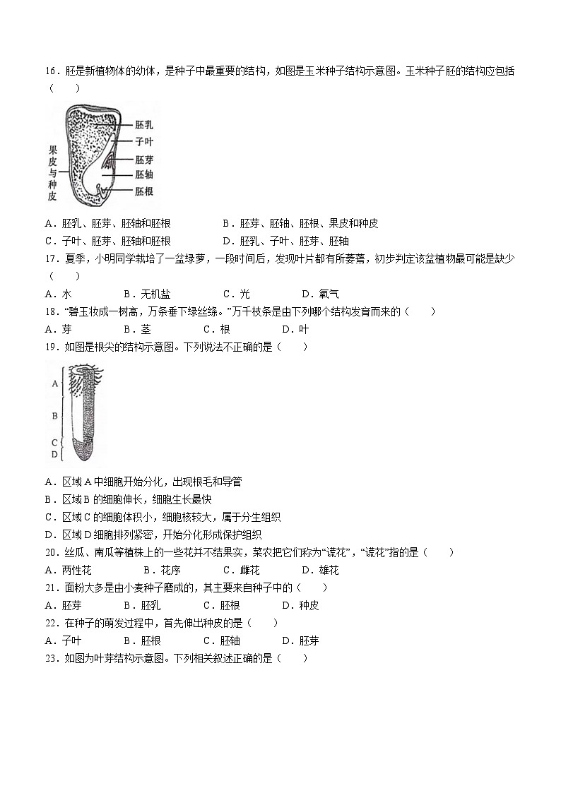 陕西省商洛市山阳县第二初级中学2023-2024学年七年级上学期第二次月考生物试卷03