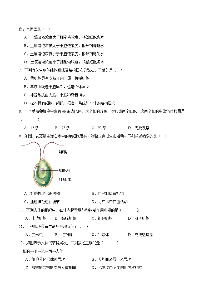 卷02-【期末大过关】2023-2024学年七年级生物上学期期末通关卷02