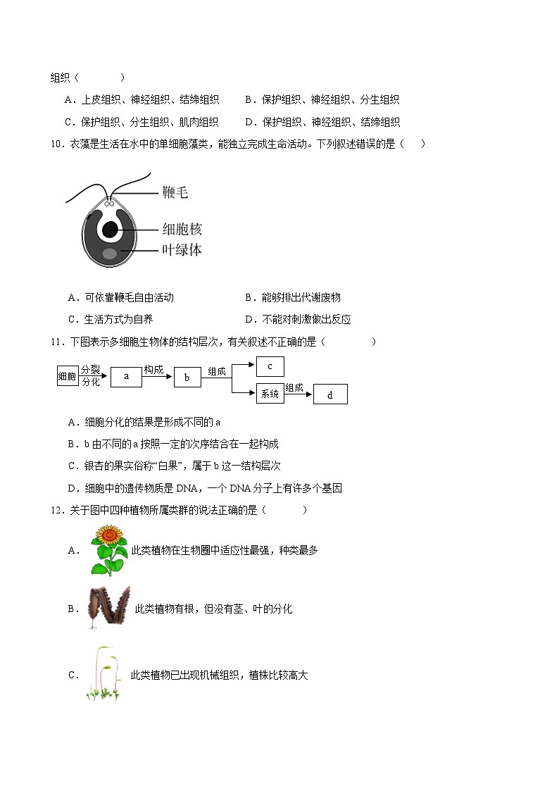 卷03-【期末大过关】2023-2024学年七年级生物上学期期末通关卷02