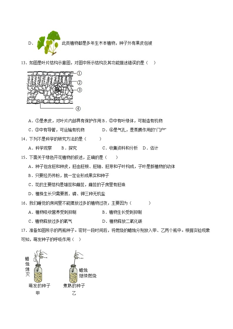 卷03-【期末大过关】2023-2024学年七年级生物上学期期末通关卷03