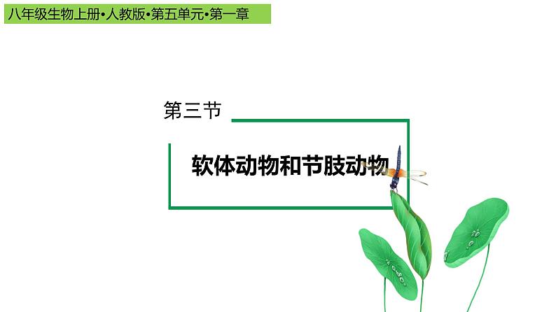 2023-2024学年八年级生物上册同步备课系列（人教版）5.1.3 软体动物和节肢动物（教学课件）01