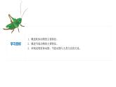 2023-2024学年八年级生物上册同步备课系列（人教版）5.1.3 软体动物和节肢动物（教学课件）