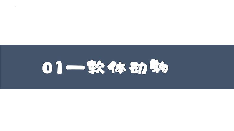 2023-2024学年八年级生物上册同步备课系列（人教版）5.1.3 软体动物和节肢动物（教学课件）03