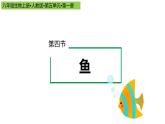 2023-2024学年八年级生物上册同步备课系列（人教版）5.1.4 鱼（教学课件）