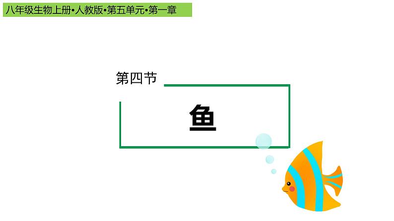 2023-2024学年八年级生物上册同步备课系列（人教版）5.1.4 鱼（教学课件）01