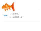 2023-2024学年八年级生物上册同步备课系列（人教版）5.1.4 鱼（教学课件）