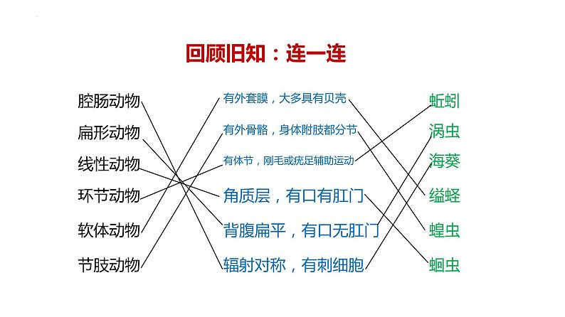 2023-2024学年八年级生物上册同步备课系列（人教版）5.1.4 鱼（教学课件）03